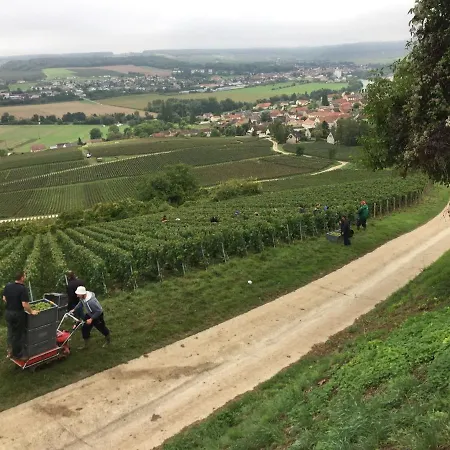 L'insouciance En Champagne *