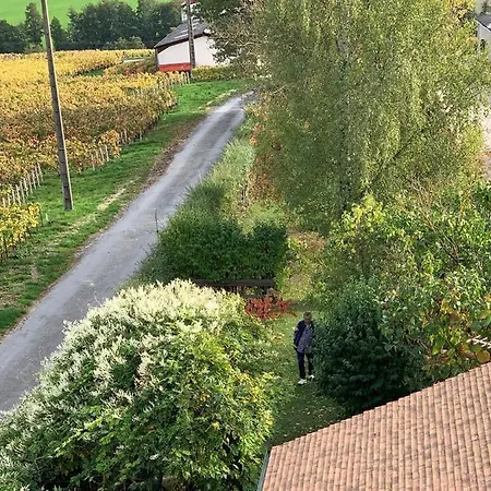 L'insouciance En Champagne Villa Vincelles (Marne)