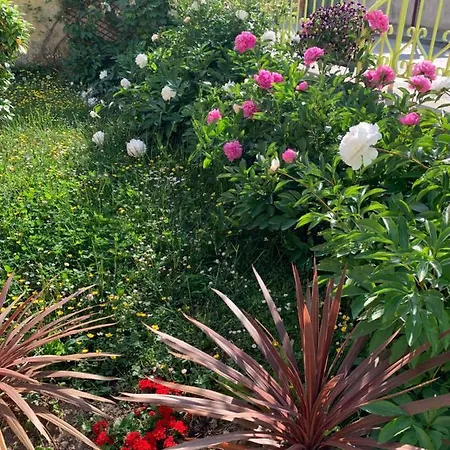 L'insouciance En Champagne *